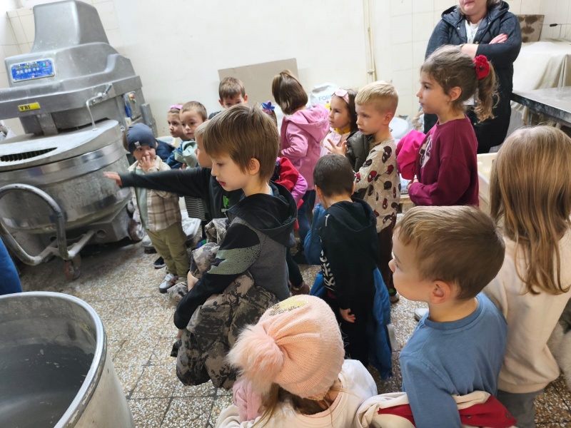  Leptirići i Bumblebees u posjetu pekari - slika broj: 10